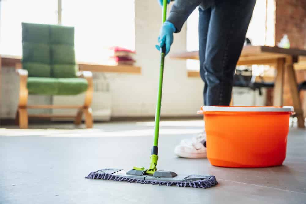 Basic House Cleaning image